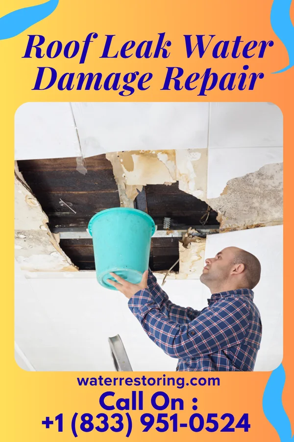 Roof Leak Water Damage Repair in Prescott, KS