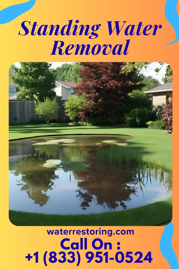Standing Water Removal in Prescott, KS